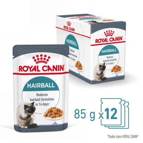 Royal Canin Hairball Care – Hrană Umedă Premium pentru Pisici, în Gelatină, pentru Reducerea Ghemotoacelor de Păr, 85 g